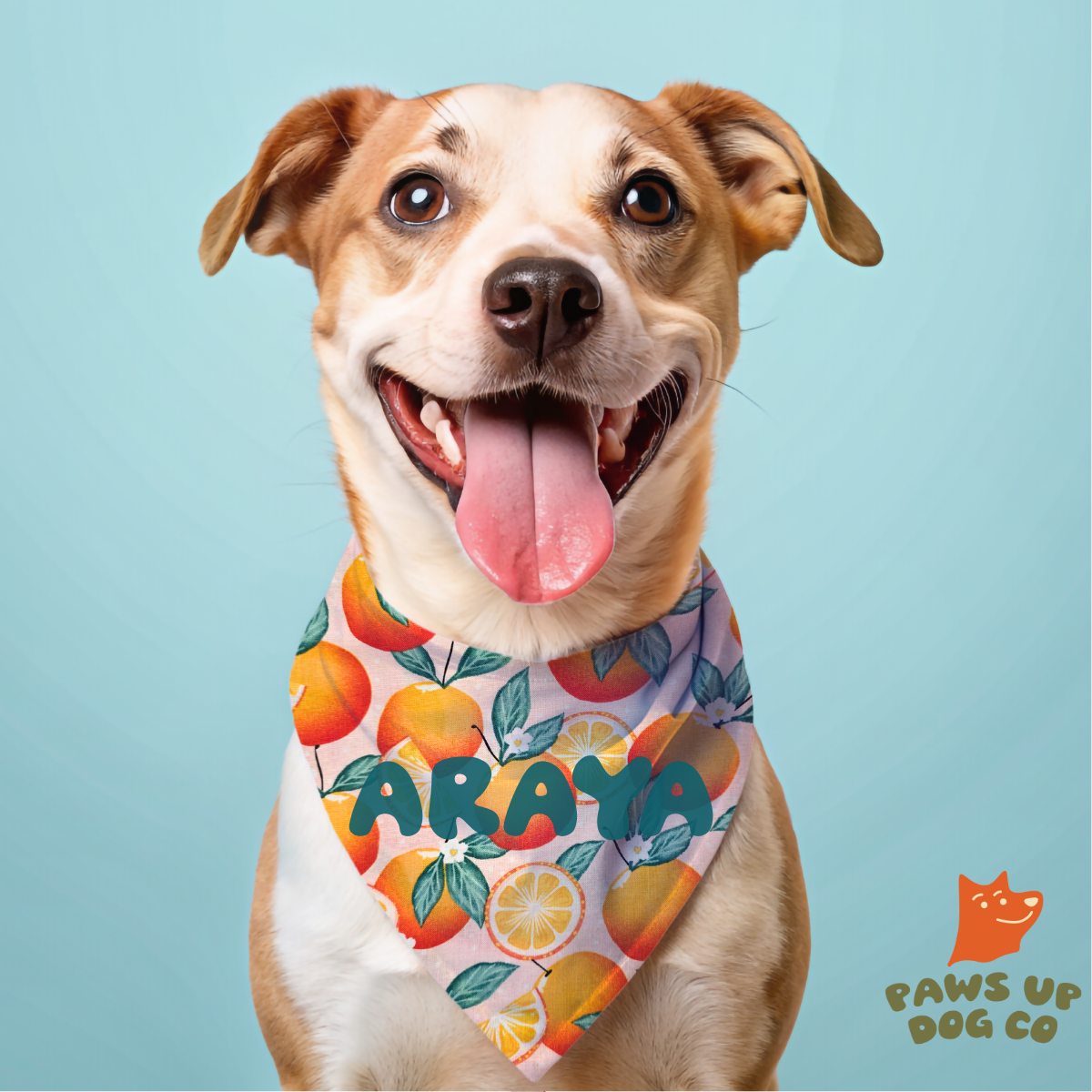 Orange You Cute? CUSTOM Dog Bandana