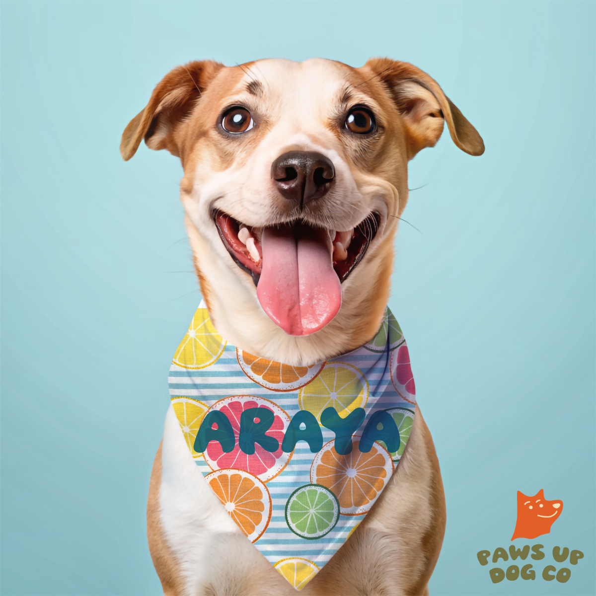 Citrus Splash Dog Bandana- CUSTOM