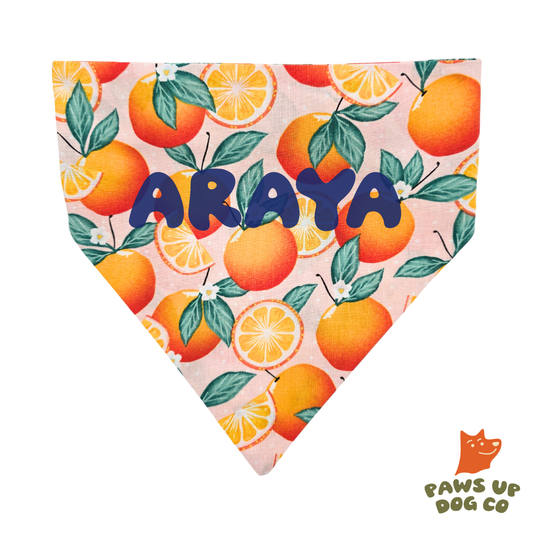 Orange You Cute? CUSTOM Dog Bandana