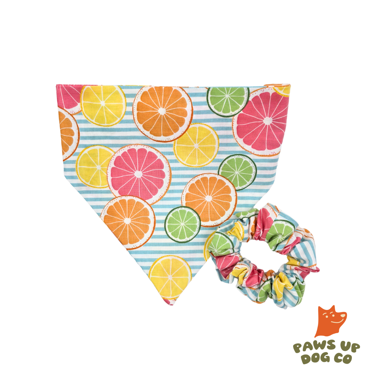 Citrus Splash Dog Bandana- CUSTOM